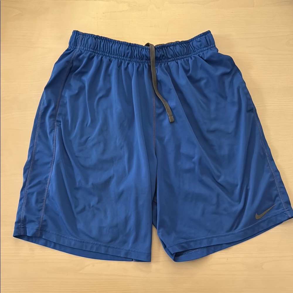 Nike Men's Blue Athletic Shorts